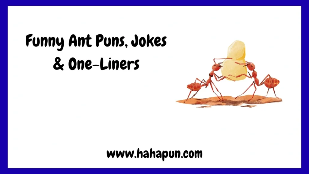 Funny Ant Puns, Jokes & One-Liners