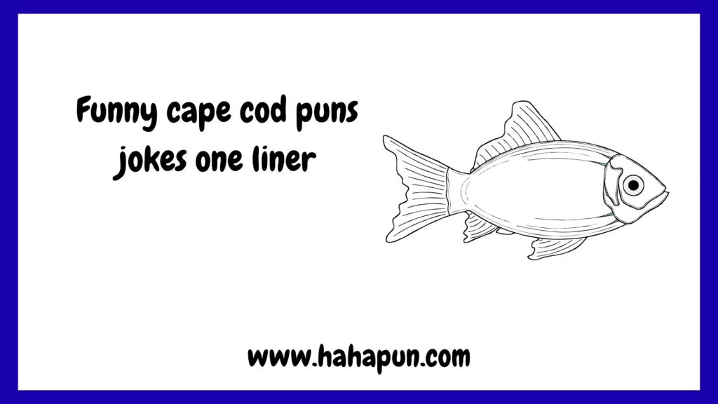 Funny cape cod puns jokes one liner
