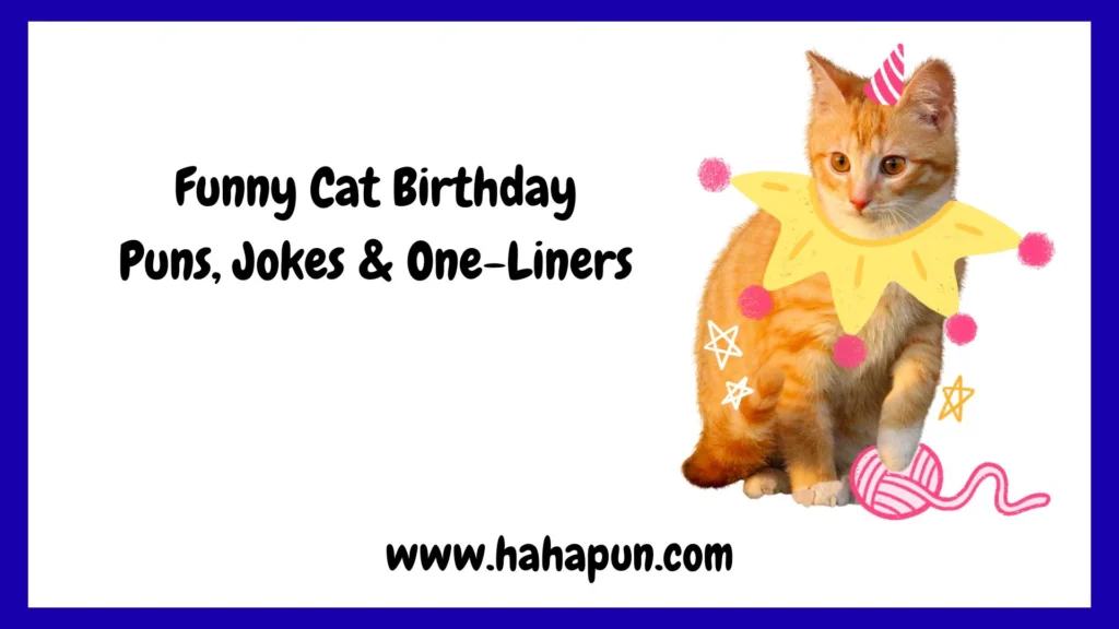 Funny Cat Birthday Puns, Jokes & One-Liners
