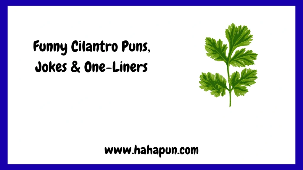 Funny Cilantro Puns, Jokes & One-Liners