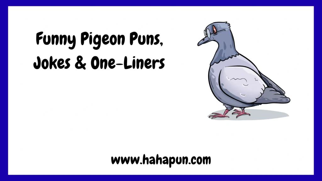 Funny Pigeon Puns, Jokes & One-Liners