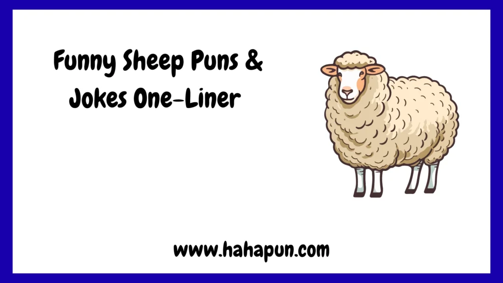 Funny Sheep Puns & Jokes One-Liner