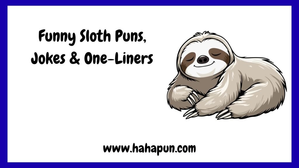 Funny Sloth Puns, Jokes & One-Liners