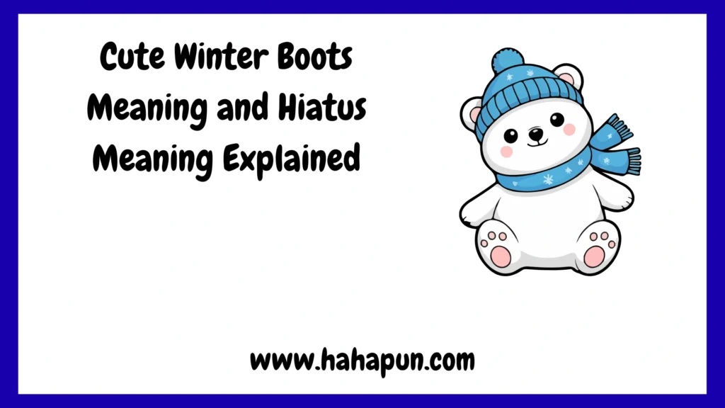 Cute Winter Boots Meaning and Hiatus Meaning Explained