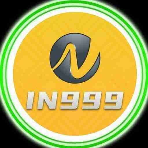 IN999 Review: What New Users Should Expect