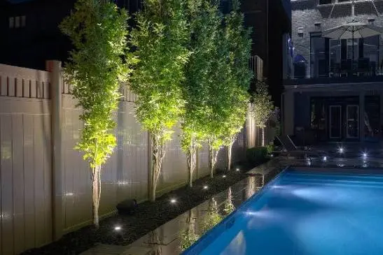 Solar Path Lights vs Wired Landscape Lighting Costs and Installation Compared